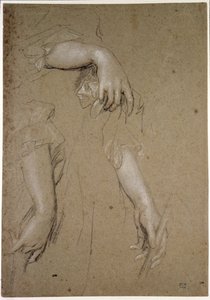 Studien von Händen, 17. Jahrhundert von Peter Lely