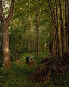 Alter Pappelbaum, Abschnitt des Gulskov-Gartens