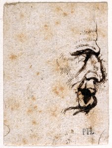 Galba, nach Giovanni da Cavino