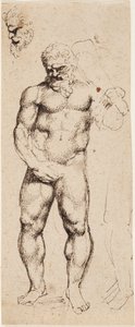 Herkules von Peter Paul Rubens