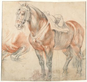 Gesatteltes Pferd, um 1616-1618