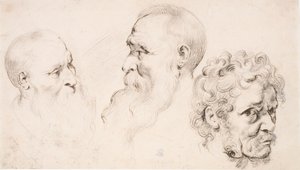 Drei Männerköpfe von Peter Paul Rubens