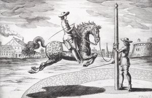 Ein Pferd en Capriole aus Neuem Traktat zur Pferdezucht, geschrieben von Winters, Stuterey und Reit-Schul, 1672 von Peter Paul Troschel