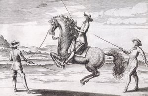 Illustration eines Pferdes en Croupade aus Neuem Traktat zur Pferdezucht geschrieben von Winters, Stuterey und Reit-Schul, veröffentlicht 1672 von Peter Paul Troschel