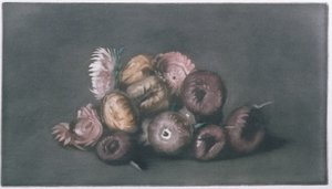 Stillleben mit getrockneten Blumen von Peter Vilhelm Ilsted