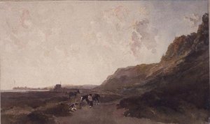 Küstenlandschaft