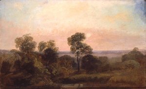 Waldlandschaft in der Dämmerung