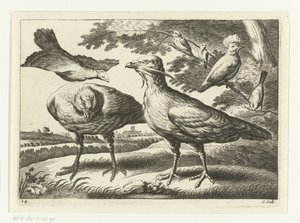 Trappgänse und ein Kakadu (Verschiedene Vögel, Serie) von Peter van Liesebetten