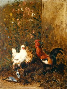 Hühner und Vögel