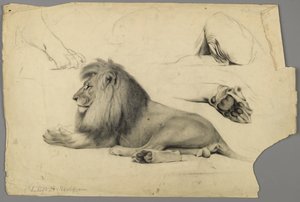 Studien eines Löwen von Philip H. Wolfrom
