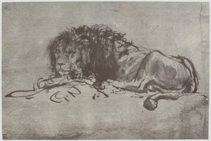 Ein Löwe von Philip Henry Delamotte
