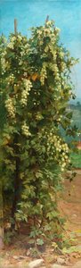 Hopfen, 1882