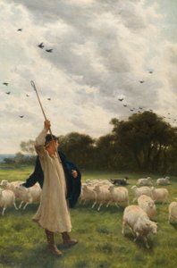 Wechselnde Weide von Philip Richard Morris