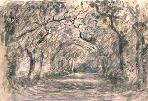 Eichenallee, Knaresborough