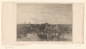 Kühe am Wasser in einer Weide von Philip Zilcken (signed by artist)