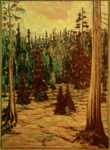 Sommerwald von Philipp Bauknecht