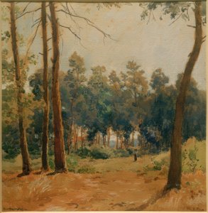 Waldlandschaft bei Hartmannshofen