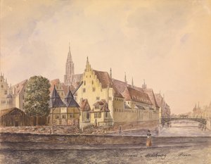 Die Donau bei Straßburg
