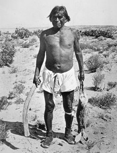 Hopi-Jäger