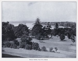 Botanische Gärten, Farm Cove, Sydney