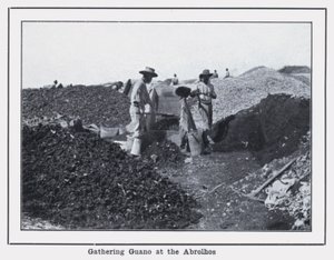 Guano-Sammlung bei den Abrolhos