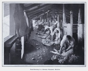 Handschur in einer Woolshed in Riverina, Merribee (s/w Foto)