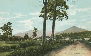 Healesville, Victoria, Australien