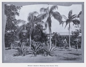 Managerresidenz, Kamerunga State Nursery, Cairns (s/w Foto)