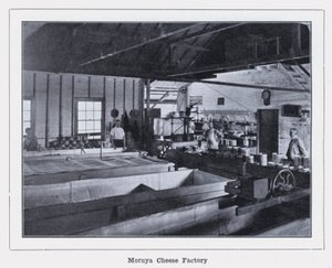 Moruya Käsefabrik von Photographer Australian