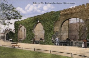 Kölner Zoo, Bären
