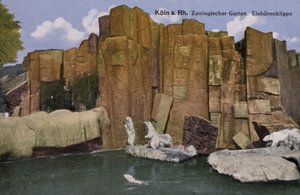 Kölner Zoo, Eisbären
