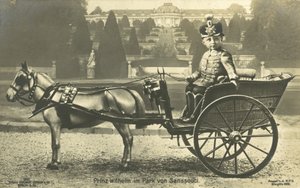 Kronprinz Wilhelm, Schloss Sanssouci, Potsdam