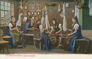 Spinner des Schwarzwaldes, Deutschland von Photographer German