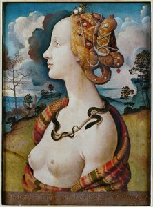 Porträt einer Frau, genannt Simonetta Vespucci von Piero di Cosimo