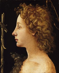 Der junge Heilige Johannes der Täufer (ca. 1480-82)