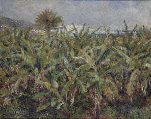 Bananenfeld Champ de bananiers, 1881