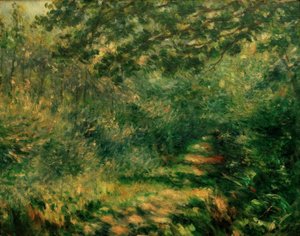 Der Weg im Wald