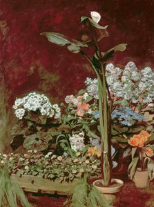 Lilien und Gewächshauspflanzen von Pierre Auguste Renoir