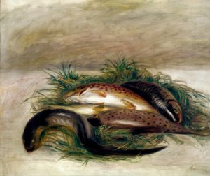 Stillleben mit Fischen