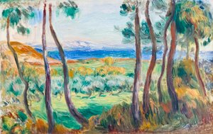 Kiefern bei Cagnes, ca. 1910 von Pierre Auguste Renoir