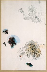 Studien von Bäumen von Pierre Auguste Renoir
