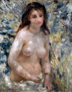 Torso, Sonnenwirkung