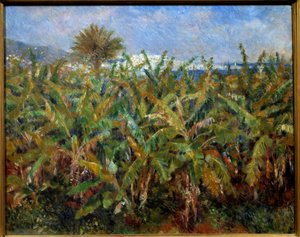 Ein Bananenfeld von Pierre Auguste Renoir