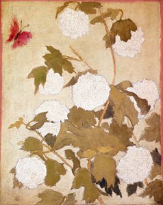 Schneebälle Blumen Schneebälle (Viburnum Ob) und roter Schmetterling von Pierre Bonnard