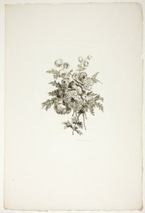 Blumenstrauß mit Pfingstrosen, aus Sammlung verschiedener Blumensträuße, erfunden und gezeichnet von Jean Pillement und graviert von P. C. Canot
