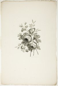 Blumenstrauß mit Rosen, aus der Sammlung verschiedener Blumensträuße, erfunden und gezeichnet von Jean Pillement und graviert von P. C. Canot