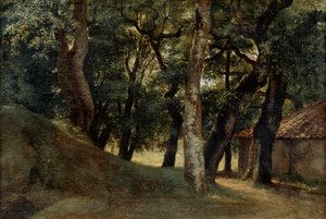 Wald der Villa Borghese, spätes 18. bis frühes 19. Jahrhundert von Pierre Henri de Valenciennes