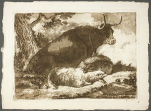 Ein Stier und zwei Schafe