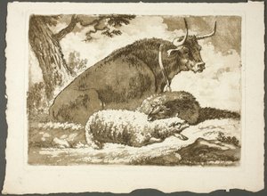 Ein Stier und zwei Schafe