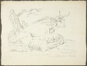 Ein Stier und zwei Schafe
